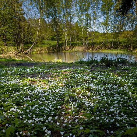 Lägenhet Dwor Pod Bukiem Wiezyca