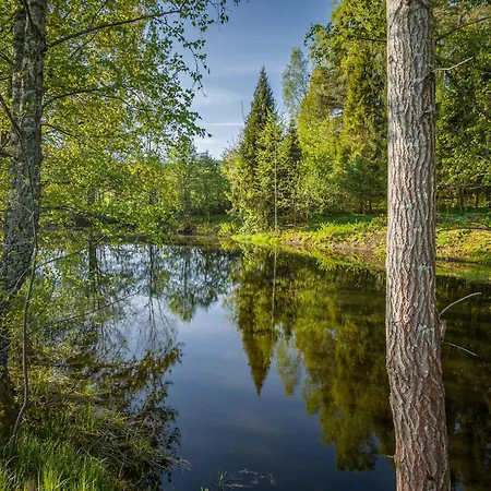Dwor Pod Bukiem Wiezyca