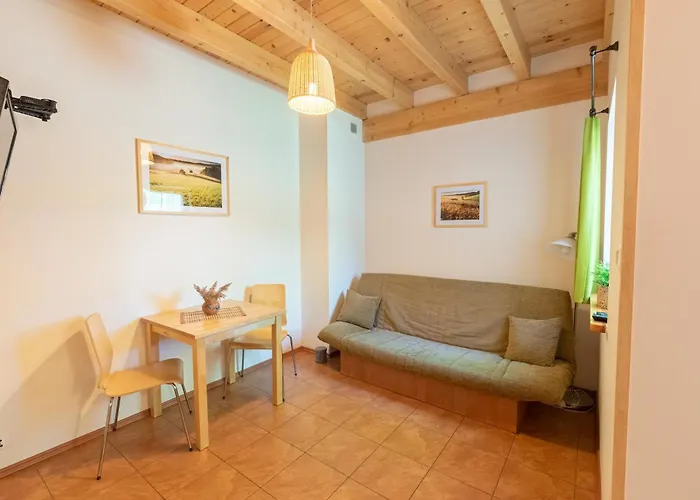 Dwor Pod Bukiem 公寓 *