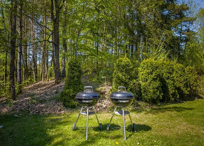 Dwor Pod Bukiem * 维日察