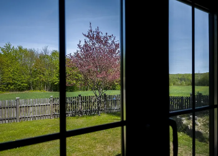 公寓 Dwor Pod Bukiem