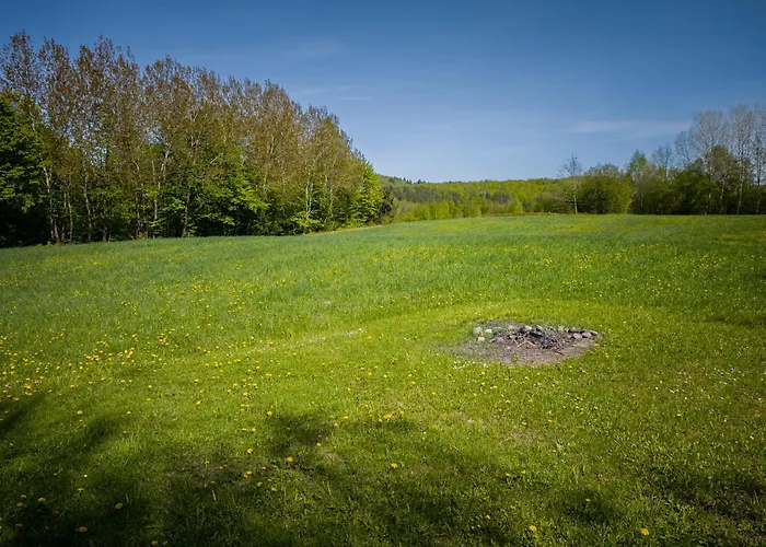 Dwor Pod Bukiem 公寓 *