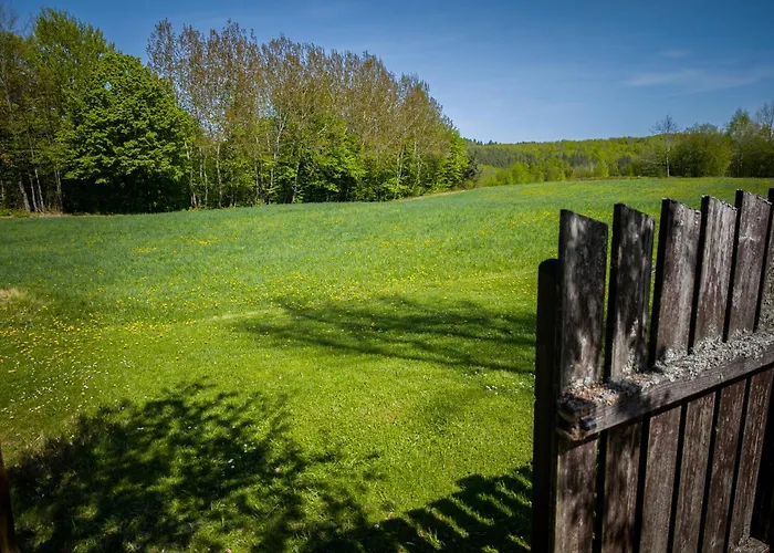 Dwor Pod Bukiem 公寓 维日察