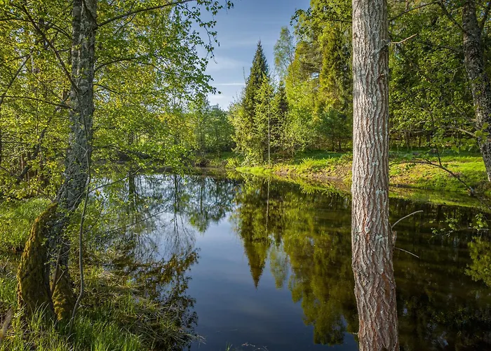 Dwor Pod Bukiem 维日察