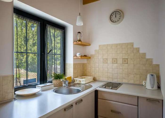 公寓 Dwor Pod Bukiem *