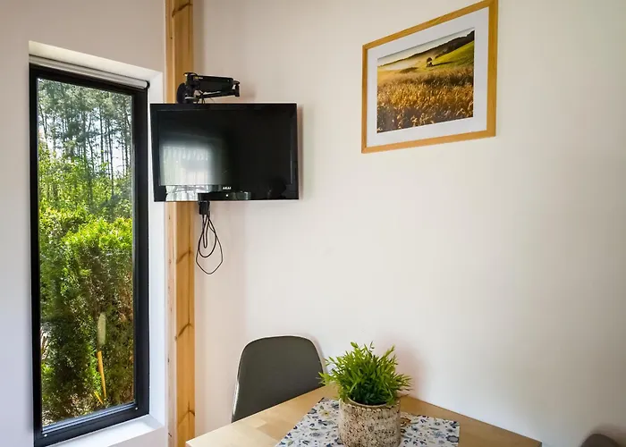 Dwor Pod Bukiem * 维日察